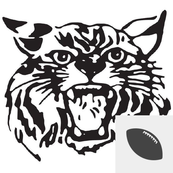 Team Logo