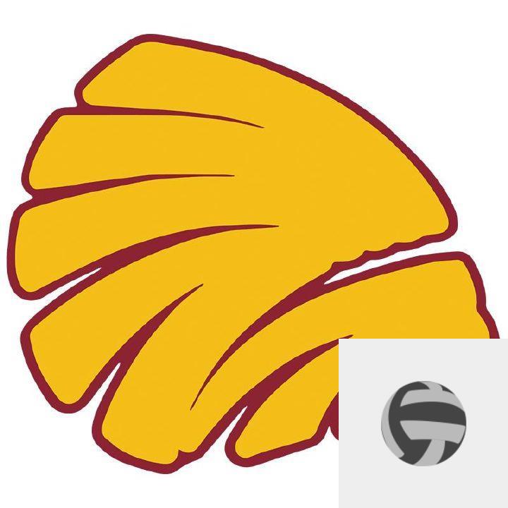 Team Logo