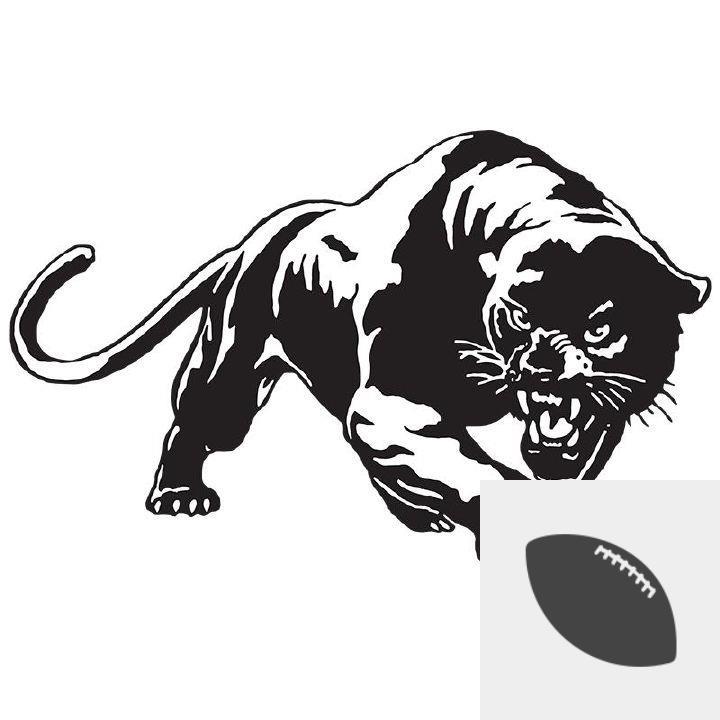 Team Logo
