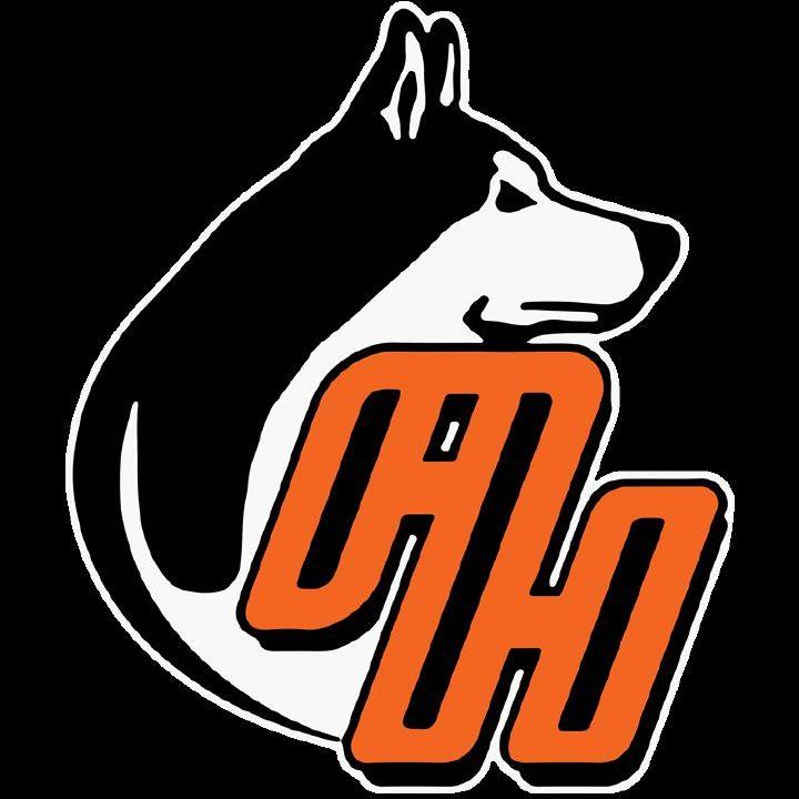 Team Logo