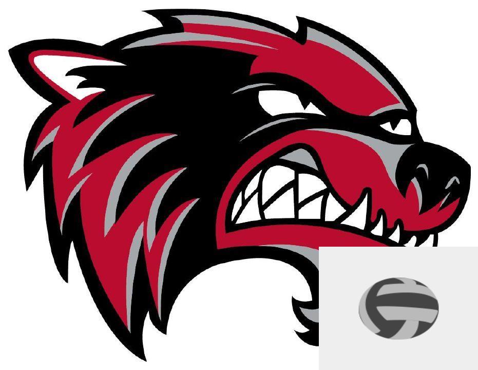 Team Logo