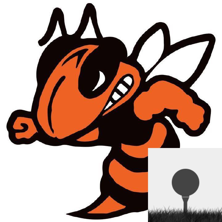 Player Pic