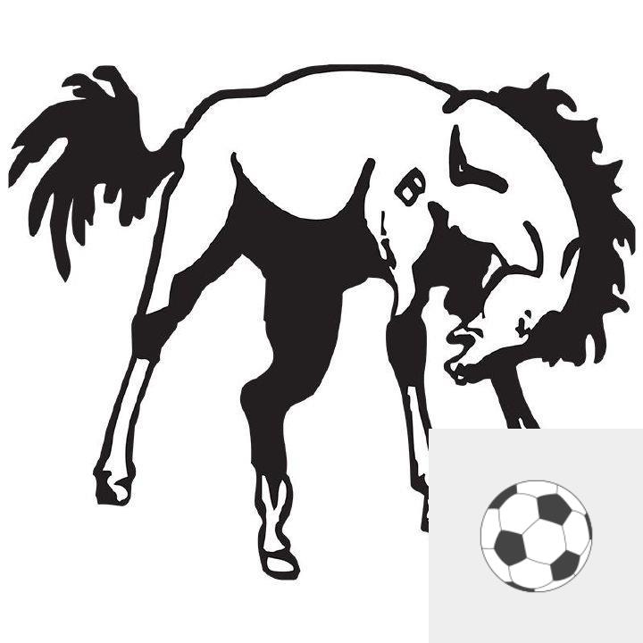 Team Logo