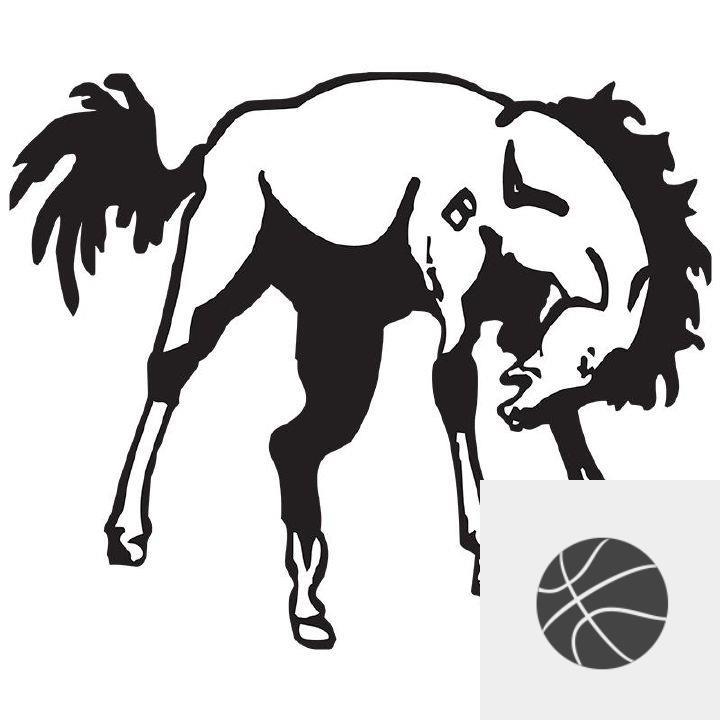 Team Logo