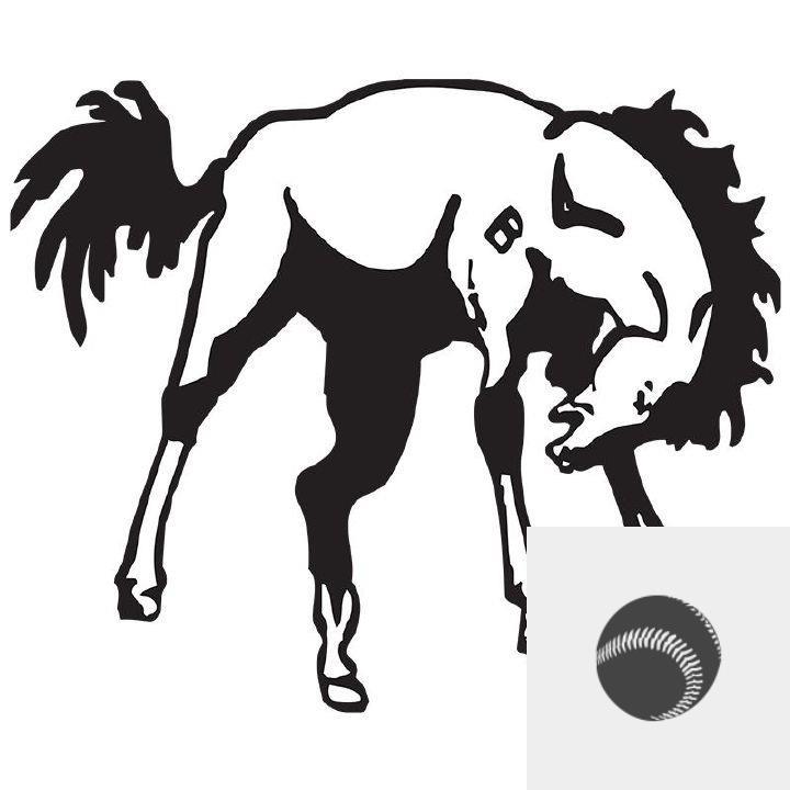 Team Logo