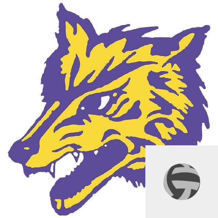 Team Logo
