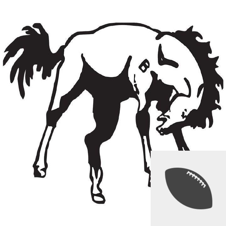 Team Logo