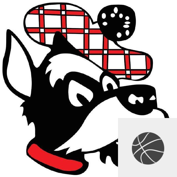 Team Logo