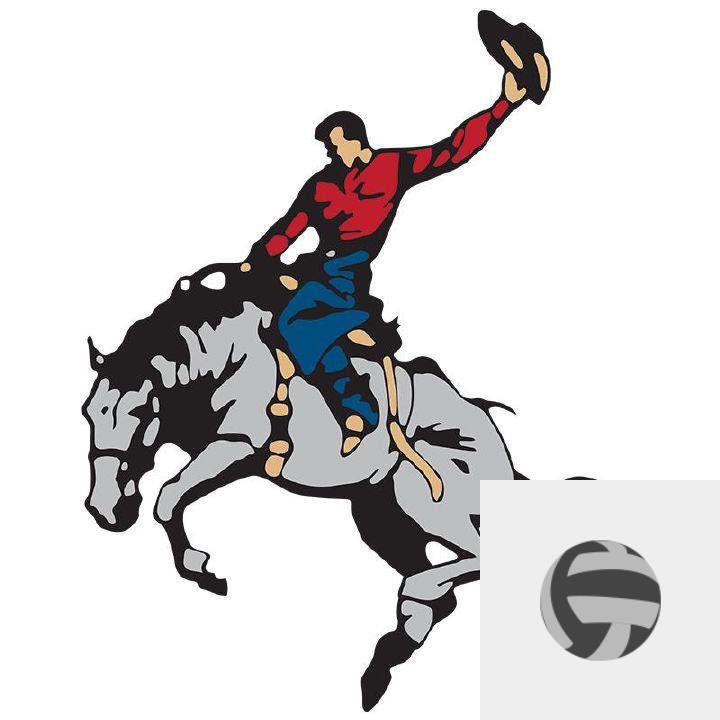 Team Logo